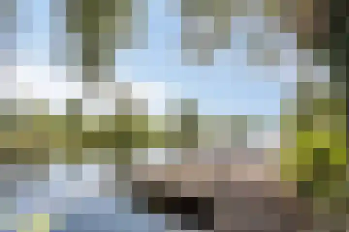 Baambrugse Zuwe 134 Vinkeveen thumbnail 67