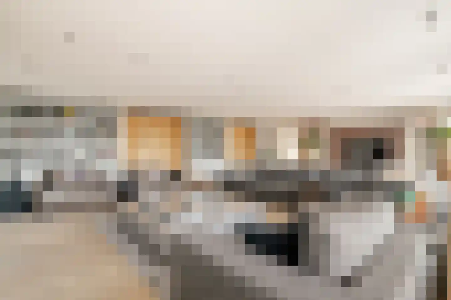Baambrugse Zuwe 141 B Vinkeveen thumbnail 17