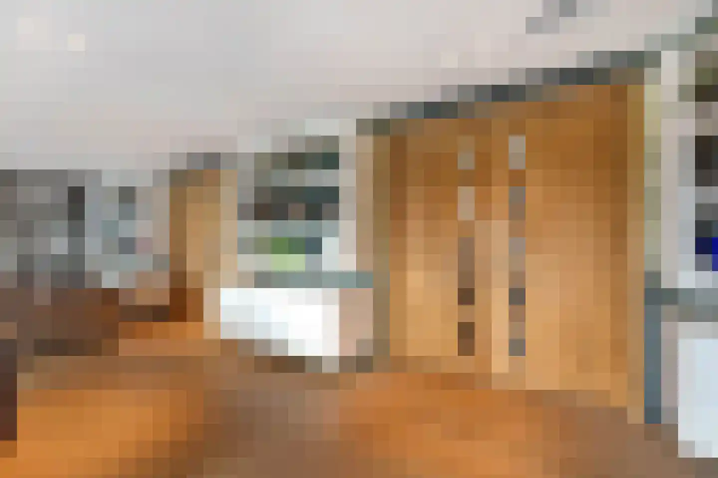 Baambrugse Zuwe 141 B Vinkeveen thumbnail 22