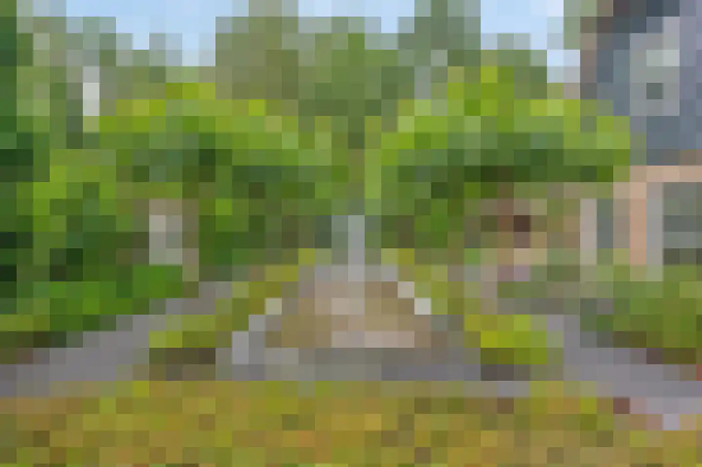 Baambrugse Zuwe 141 B Vinkeveen thumbnail 27