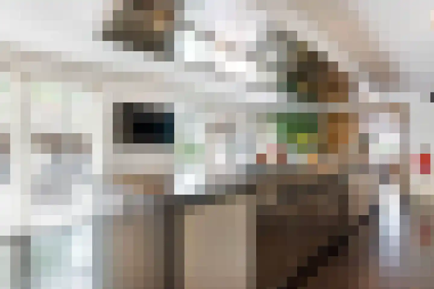 Baambrugse Zuwe 141 B Vinkeveen thumbnail 28
