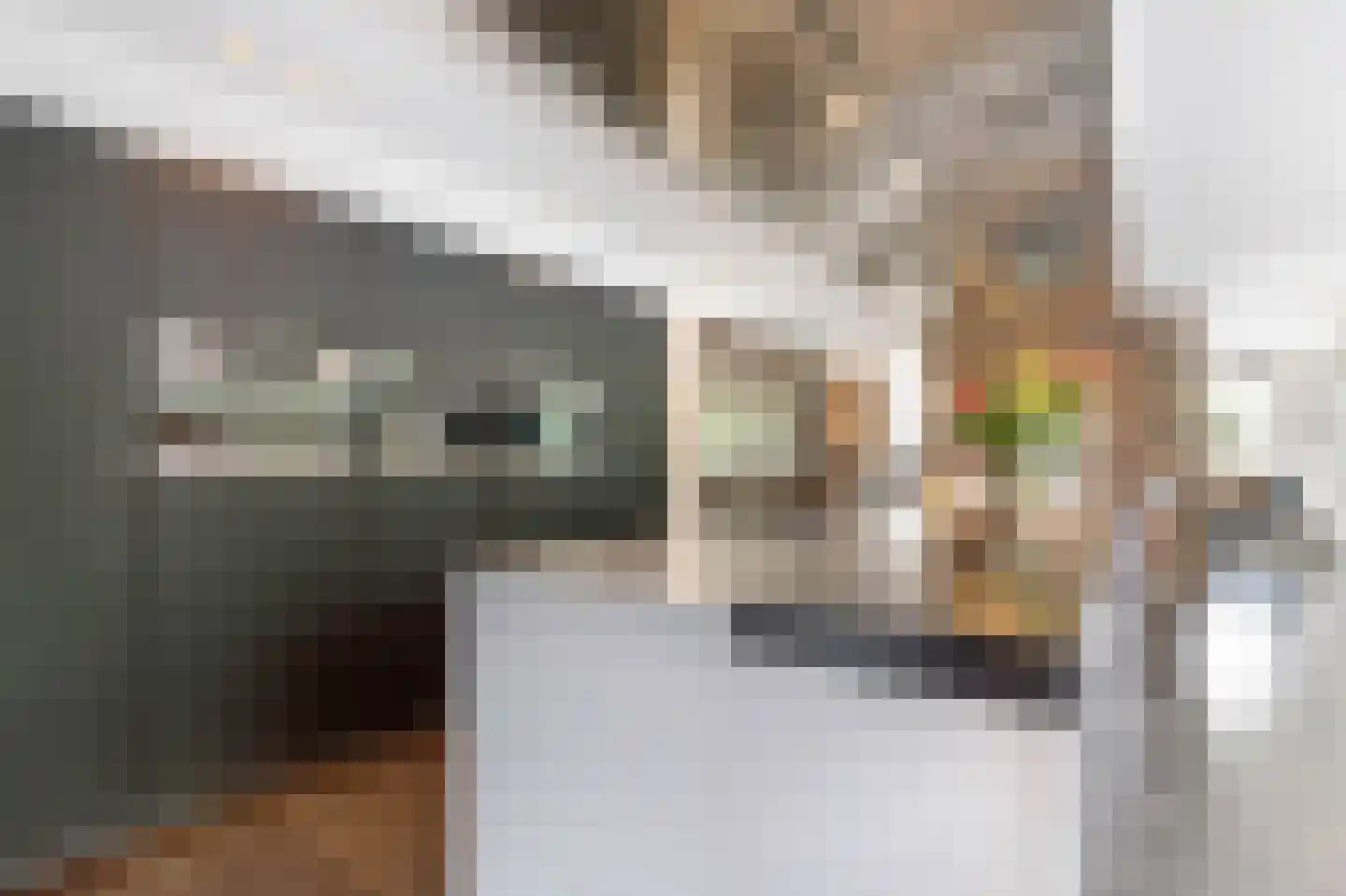Baambrugse Zuwe 141 B Vinkeveen thumbnail 31
