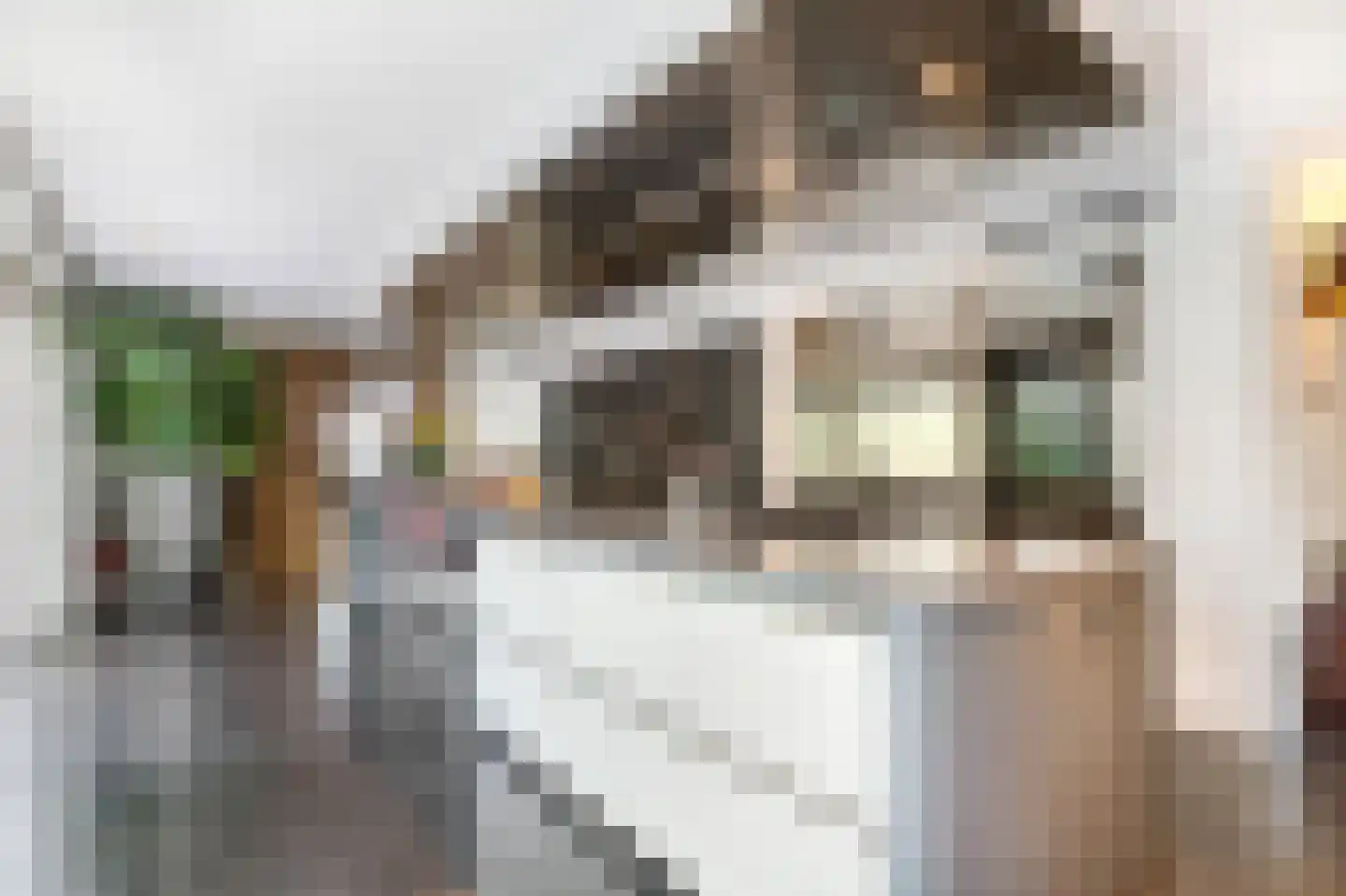 Baambrugse Zuwe 141 B Vinkeveen thumbnail 33