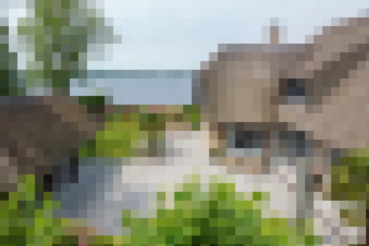 Baambrugse Zuwe 141 B Vinkeveen thumbnail 4