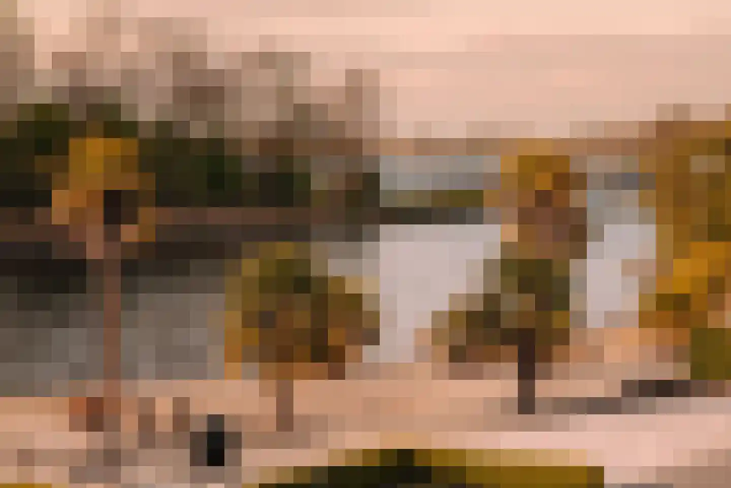 Baambrugse Zuwe 141 D Vinkeveen thumbnail 16