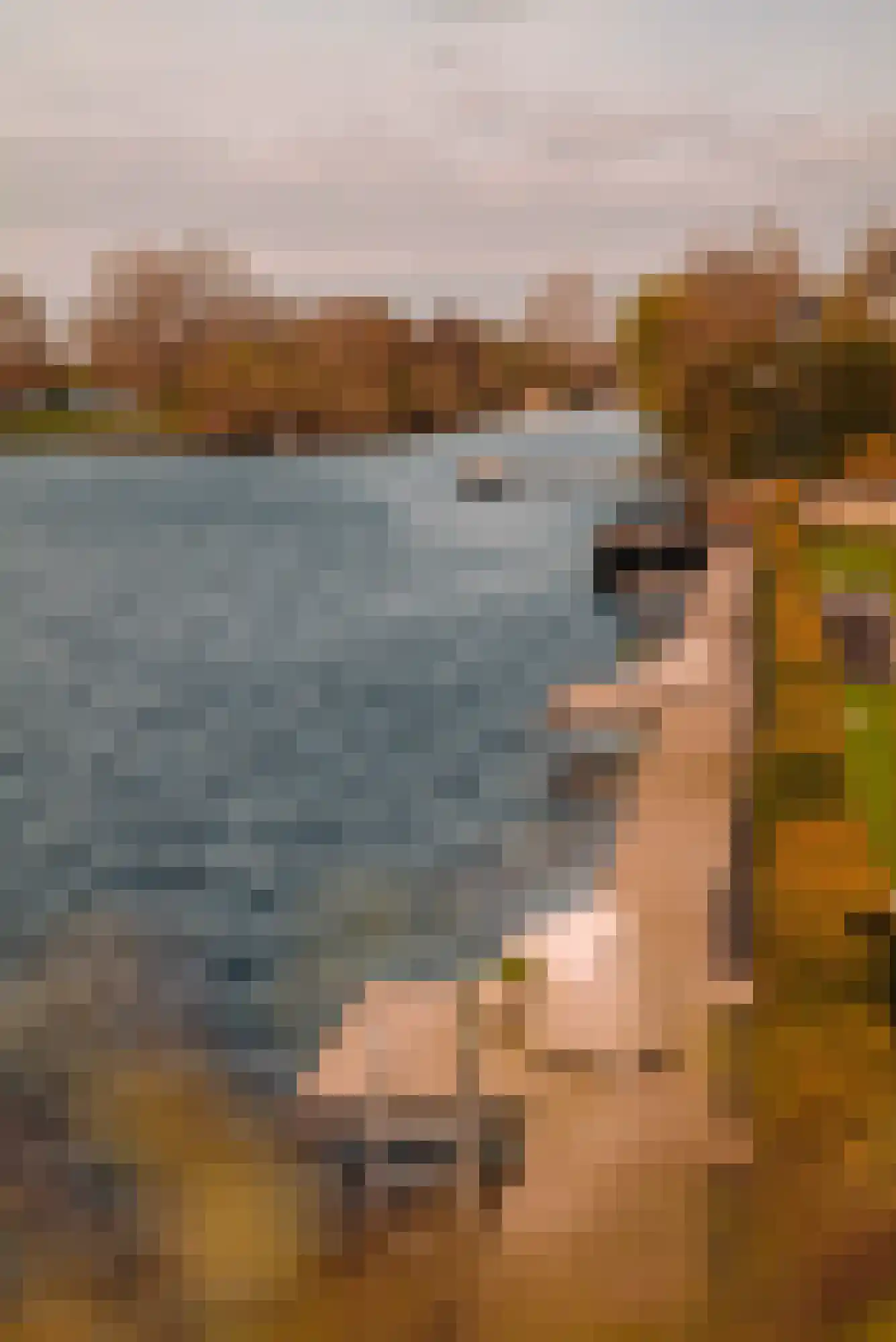 Baambrugse Zuwe 141 D Vinkeveen thumbnail 19