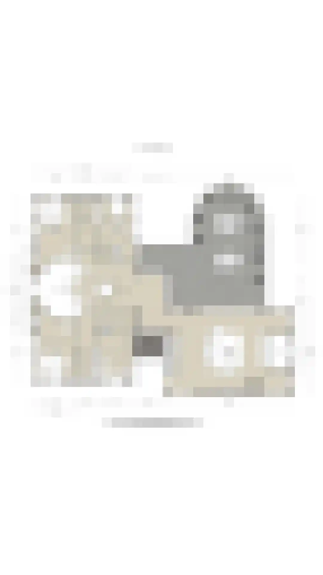 Baambrugse Zuwe 141 D Vinkeveen thumbnail 66