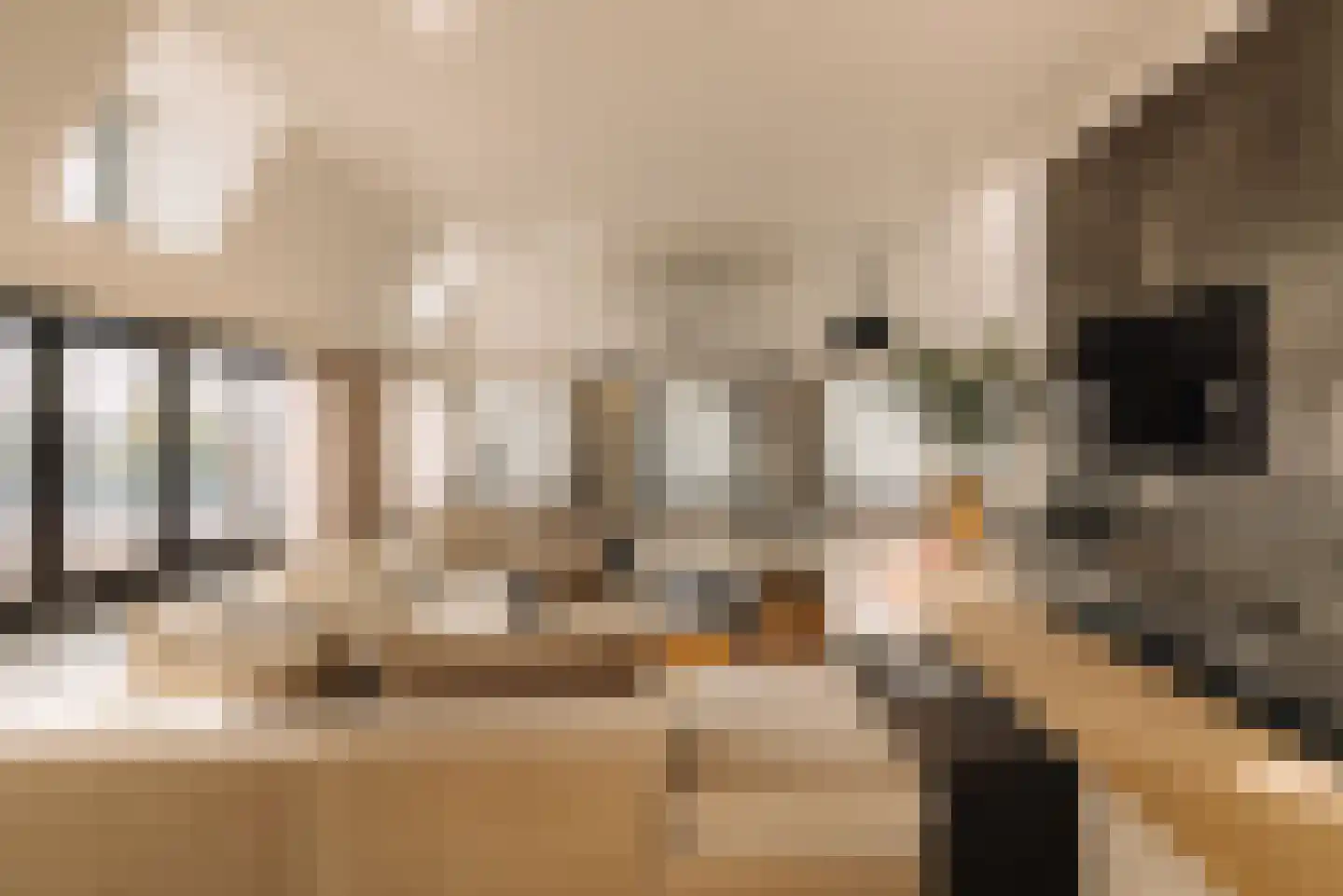 Baambrugse Zuwe 141 D Vinkeveen thumbnail 7