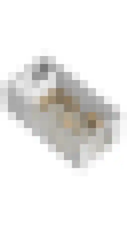Baambrugse Zuwe 141 D Vinkeveen thumbnail 77