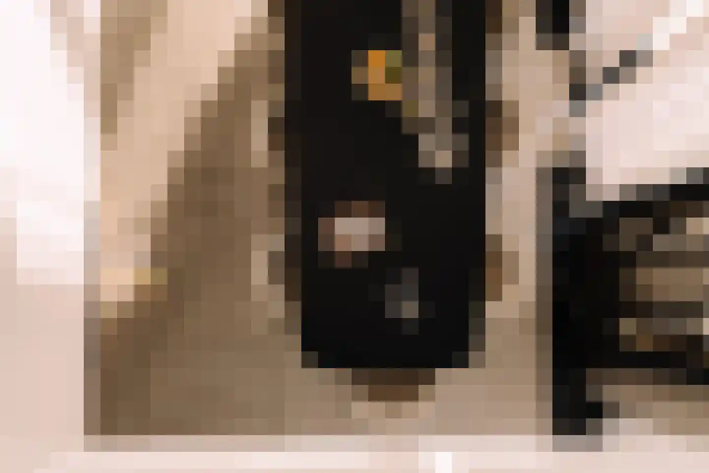 Baambrugse Zuwe 141 D Vinkeveen thumbnail 8