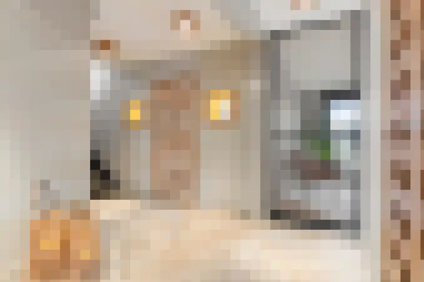 Baambrugse Zuwe 167 E Vinkeveen thumbnail 7