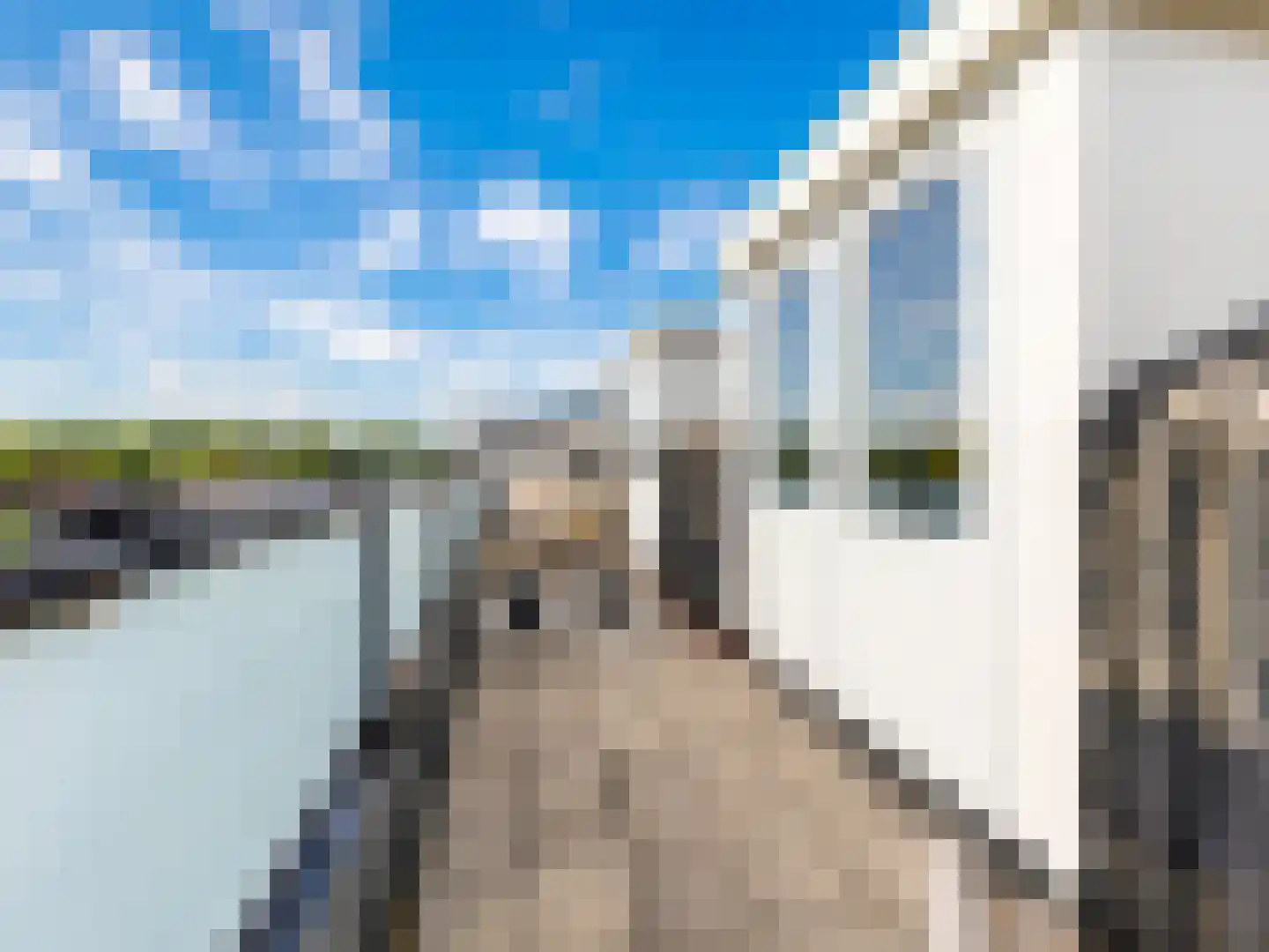 Baambrugse Zuwe 167 H Vinkeveen thumbnail 10