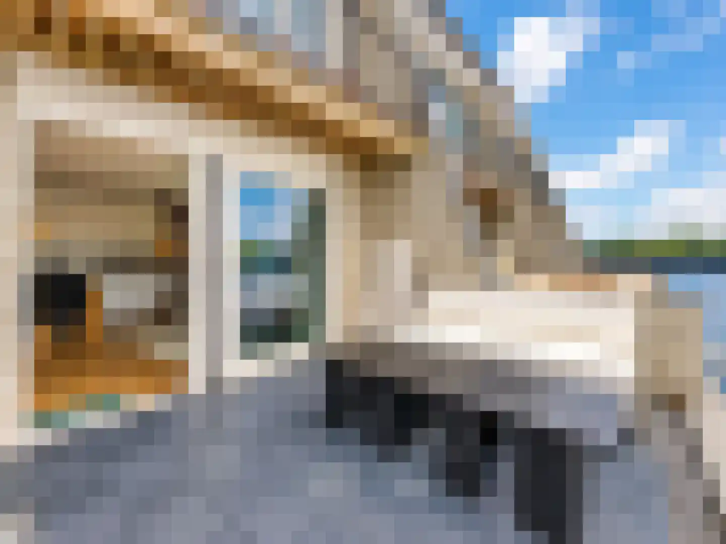 Baambrugse Zuwe 167 H Vinkeveen thumbnail 5