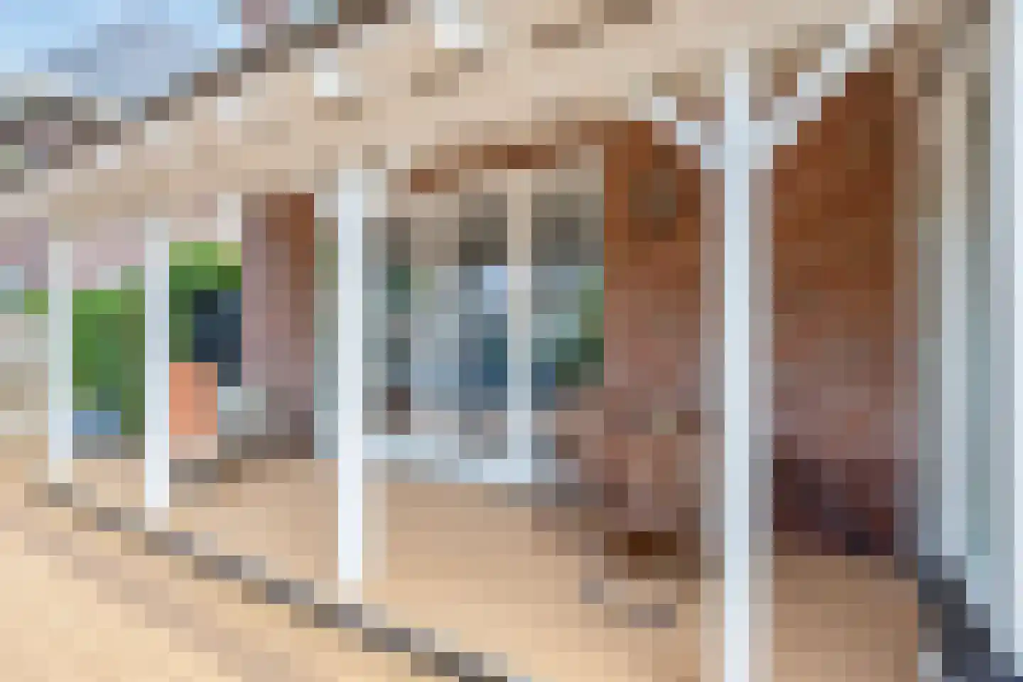 Baambrugse Zuwe 3 A Vinkeveen thumbnail 14