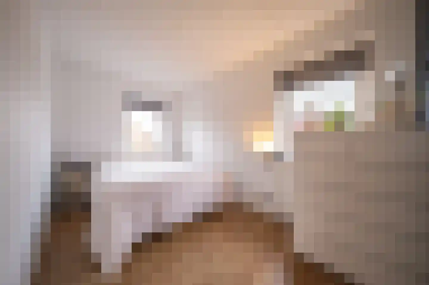 Baambrugse Zuwe 3 A Vinkeveen thumbnail 23