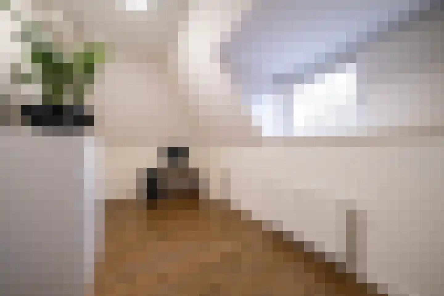Baambrugse Zuwe 3 A Vinkeveen thumbnail 25