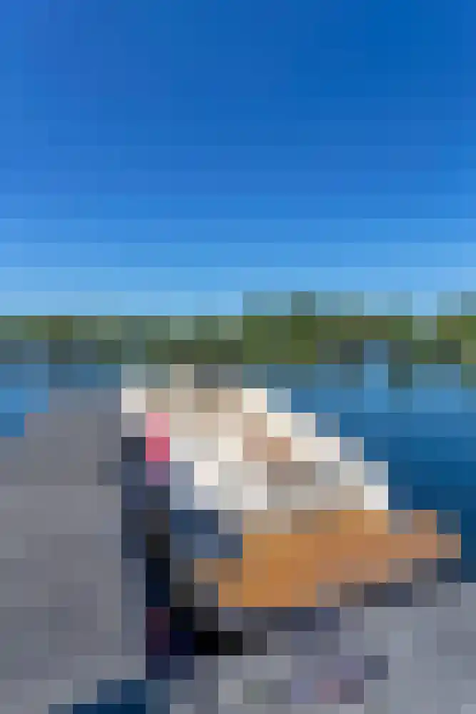 Baambrugse Zuwe 99 Vinkeveen thumbnail 100