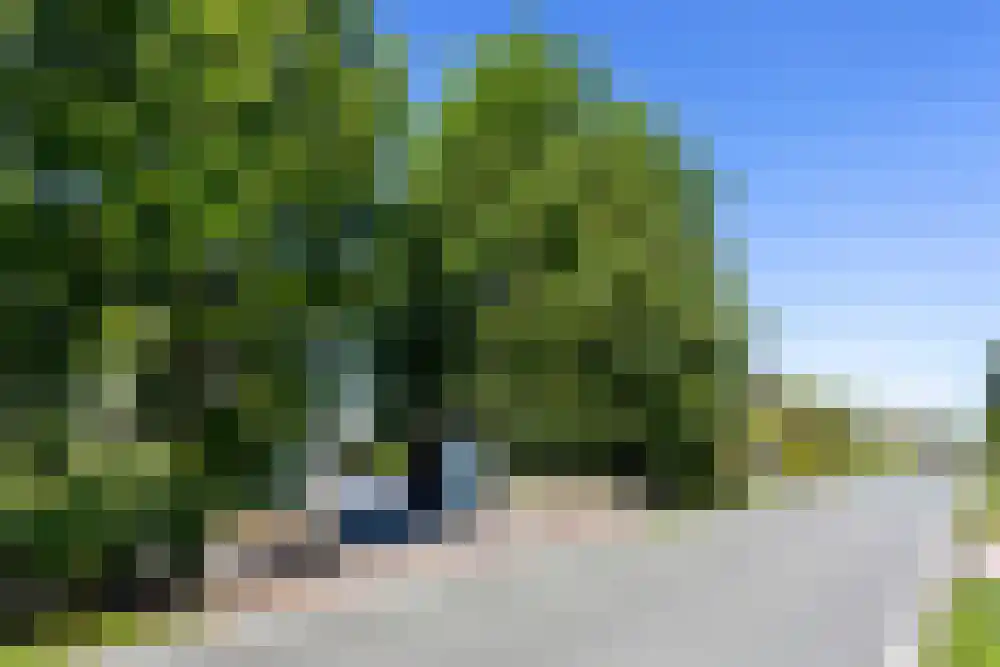 Baambrugse Zuwe 99 Vinkeveen thumbnail 105