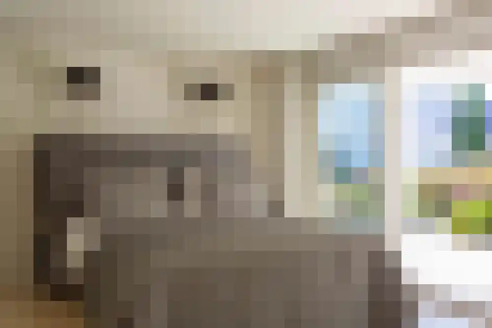 Baambrugse Zuwe 99 Vinkeveen thumbnail 12