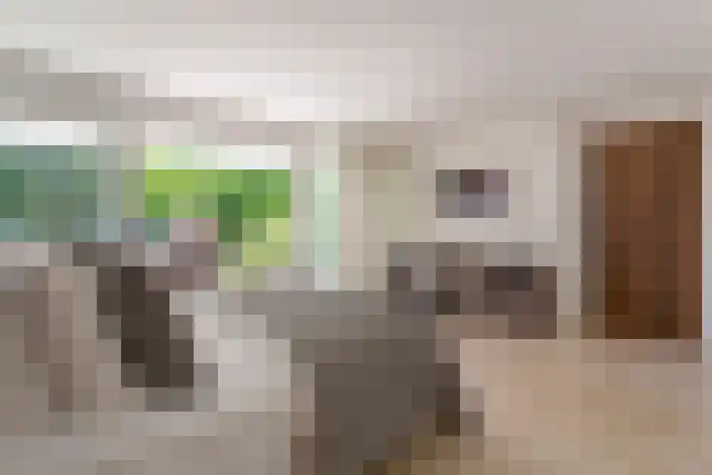 Baambrugse Zuwe 99 Vinkeveen thumbnail 13