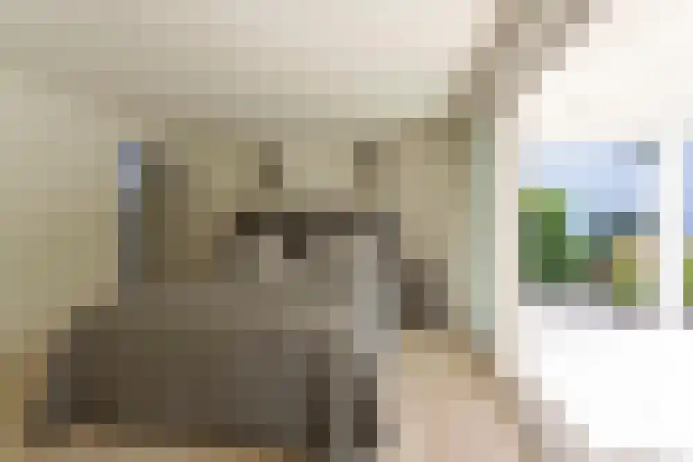 Baambrugse Zuwe 99 Vinkeveen thumbnail 14