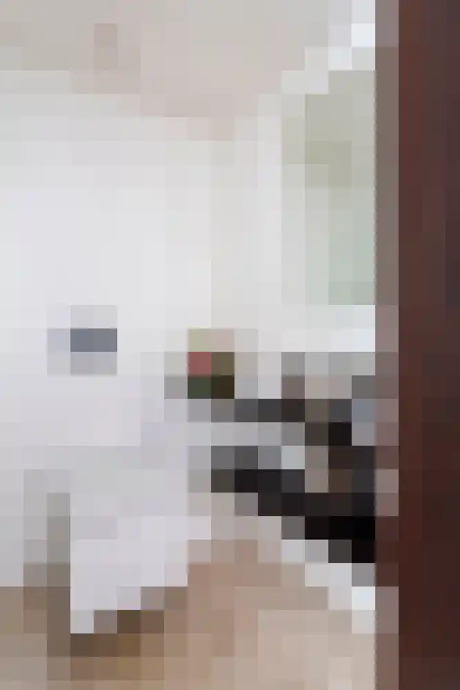 Baambrugse Zuwe 99 Vinkeveen thumbnail 17