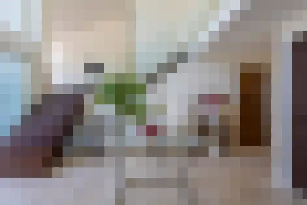 Baambrugse Zuwe 99 Vinkeveen thumbnail 18