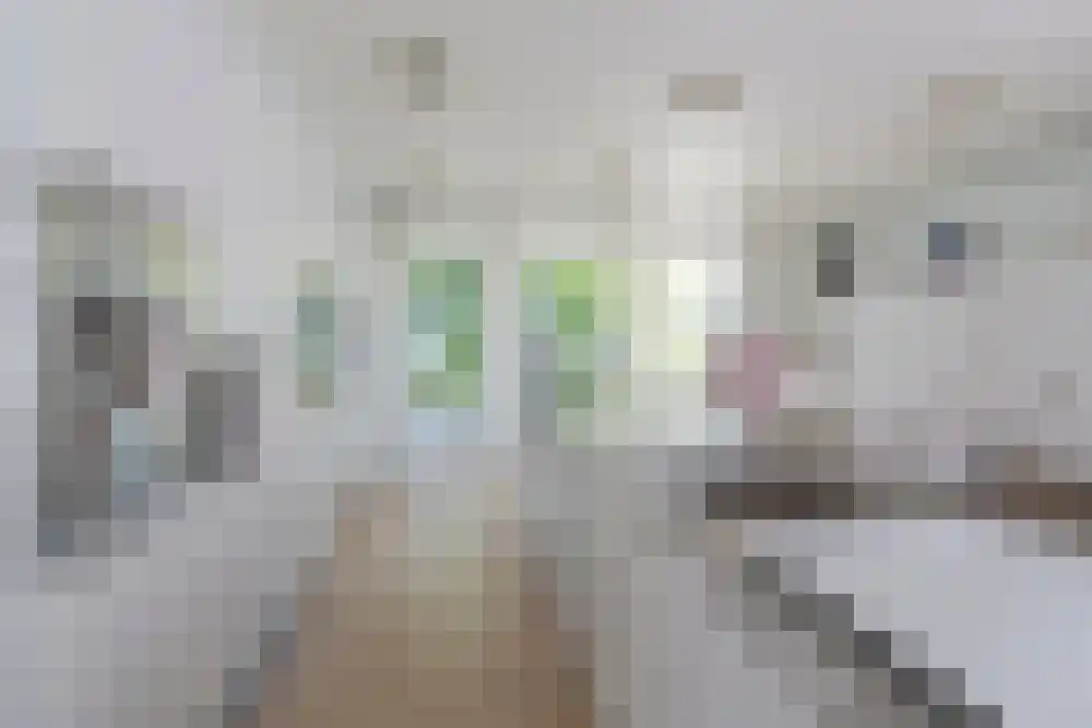 Baambrugse Zuwe 99 Vinkeveen thumbnail 19