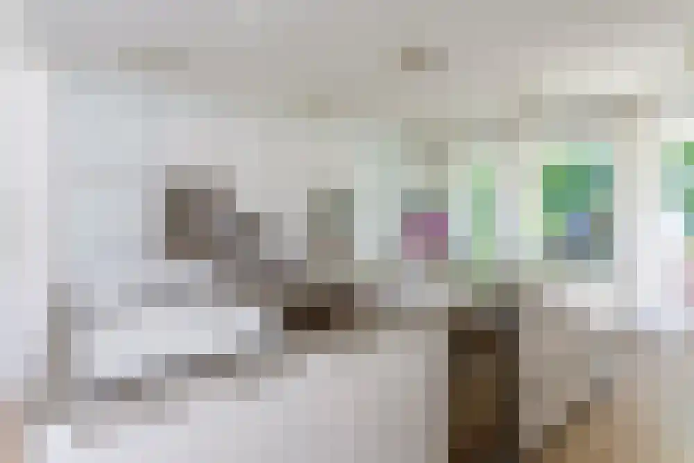 Baambrugse Zuwe 99 Vinkeveen thumbnail 21