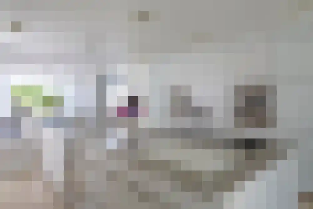 Baambrugse Zuwe 99 Vinkeveen thumbnail 22
