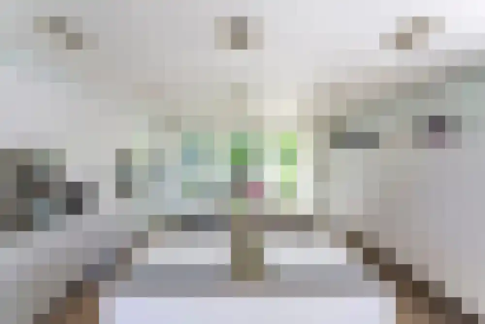Baambrugse Zuwe 99 Vinkeveen thumbnail 23