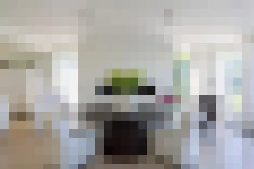 Baambrugse Zuwe 99 Vinkeveen thumbnail 24
