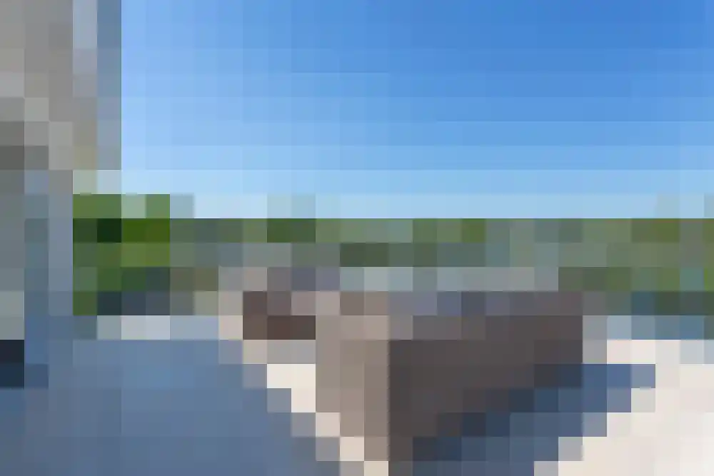 Baambrugse Zuwe 99 Vinkeveen thumbnail 39
