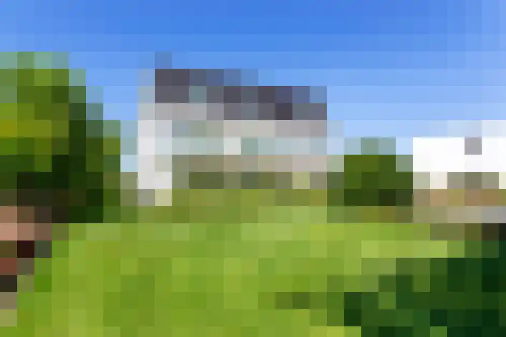 Baambrugse Zuwe 99 Vinkeveen thumbnail 4