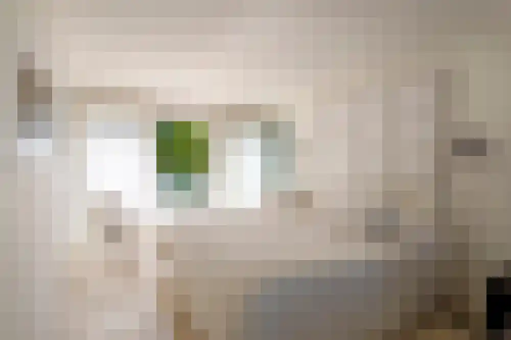 Baambrugse Zuwe 99 Vinkeveen thumbnail 43