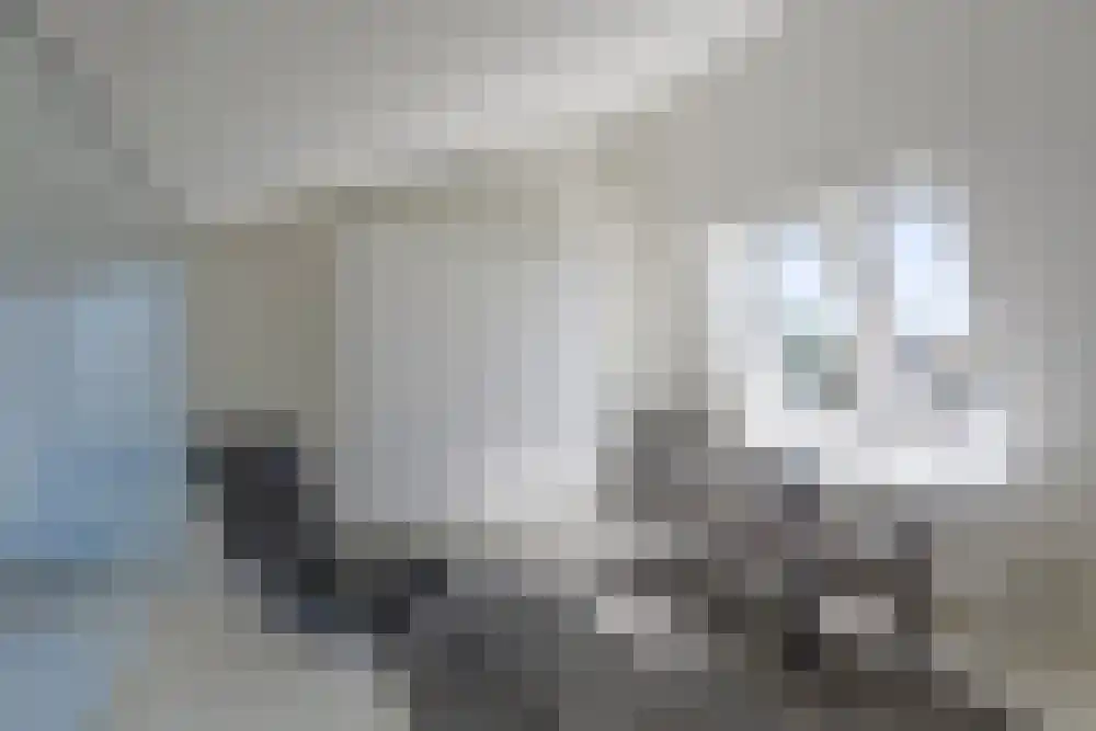 Baambrugse Zuwe 99 Vinkeveen thumbnail 64