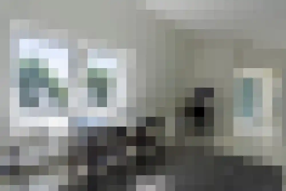 Baambrugse Zuwe 99 Vinkeveen thumbnail 66
