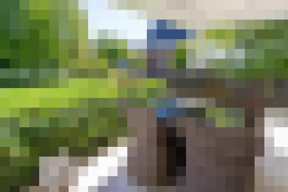 Baambrugse Zuwe 99 Vinkeveen thumbnail 8