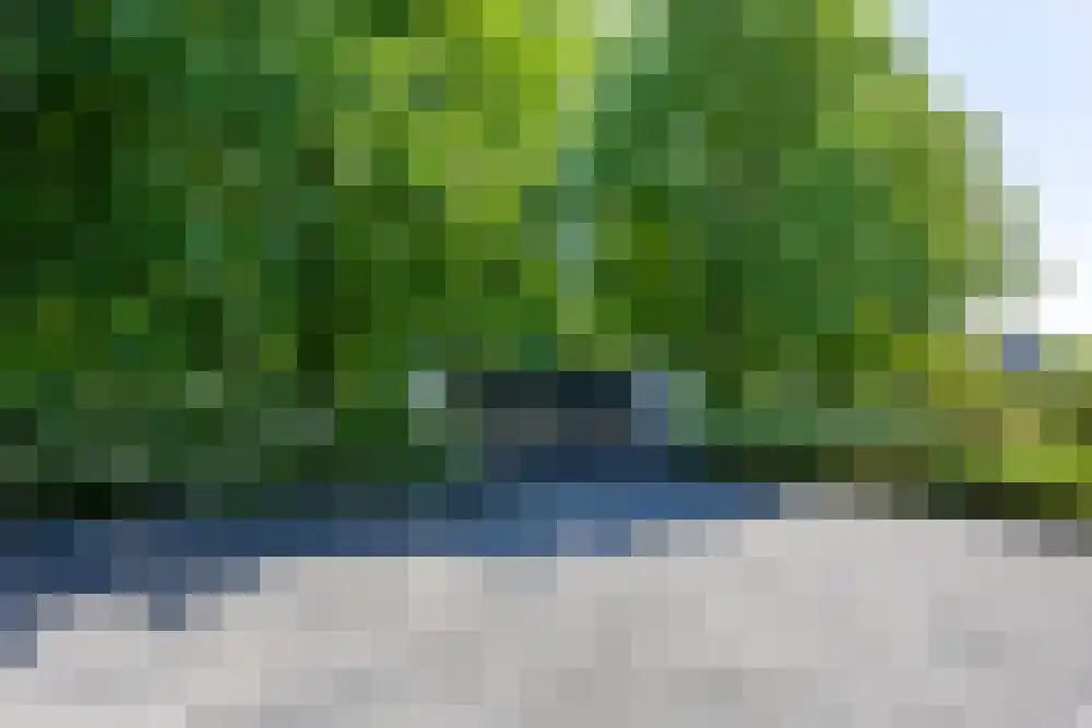 Baambrugse Zuwe 99 Vinkeveen thumbnail 86
