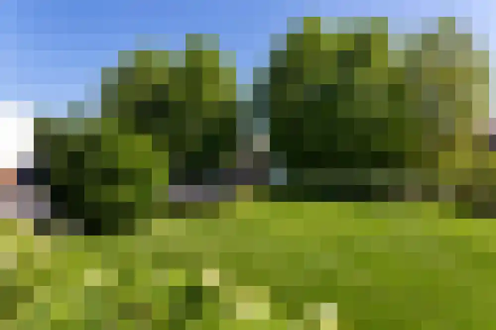 Baambrugse Zuwe 99 Vinkeveen thumbnail 87