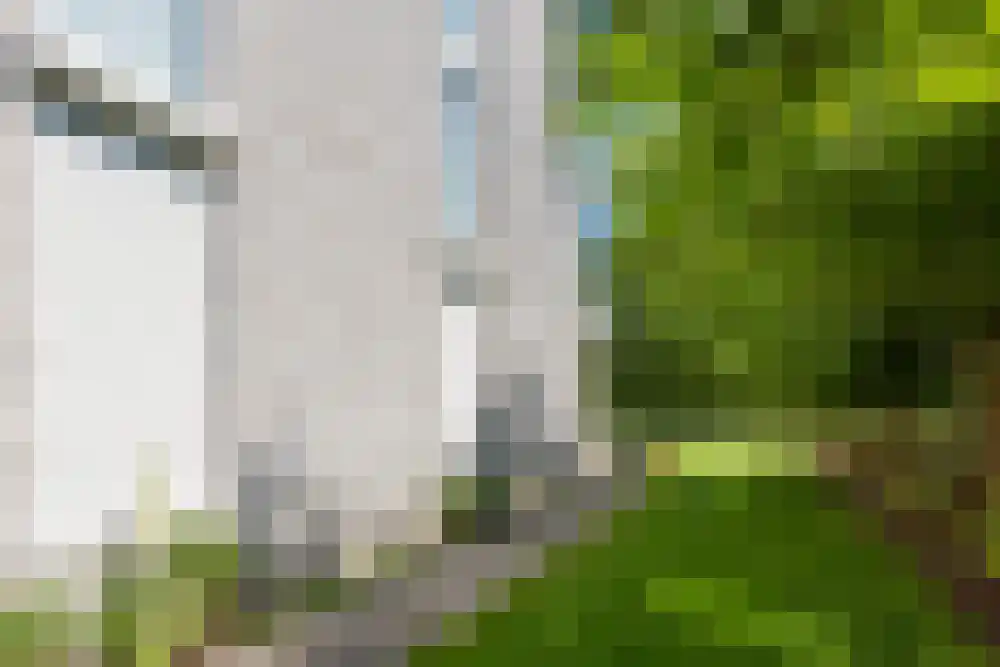 Baambrugse Zuwe 99 Vinkeveen thumbnail 88