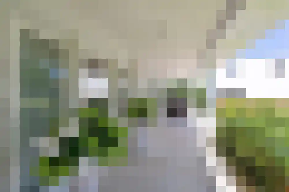Baambrugse Zuwe 99 Vinkeveen thumbnail 9
