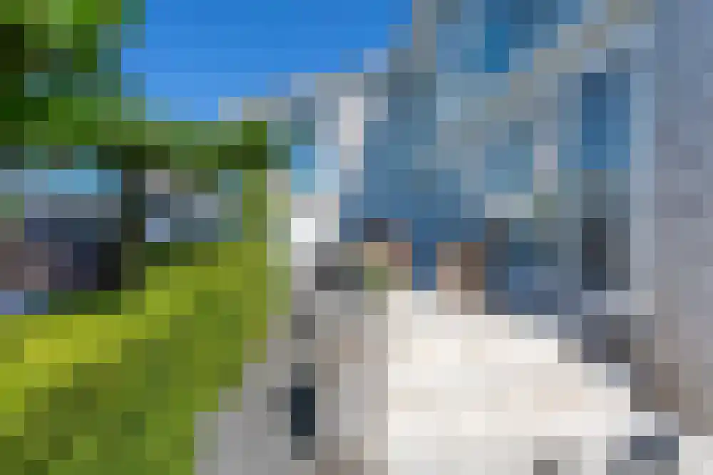 Baambrugse Zuwe 99 Vinkeveen thumbnail 90