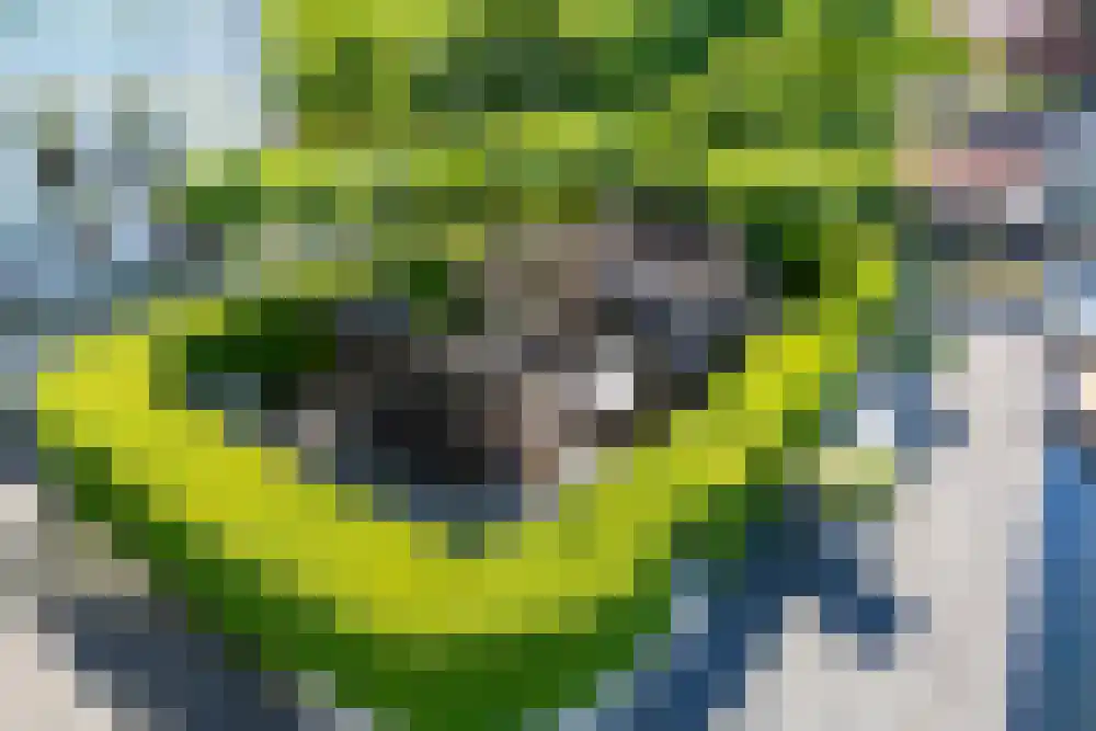 Baambrugse Zuwe 99 Vinkeveen thumbnail 95
