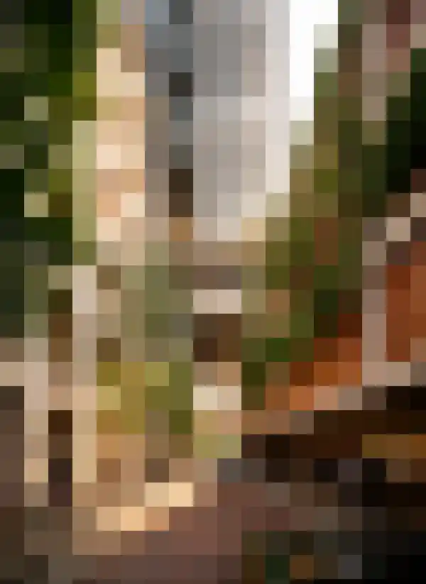 Baan 11 Rotterdam thumbnail 11