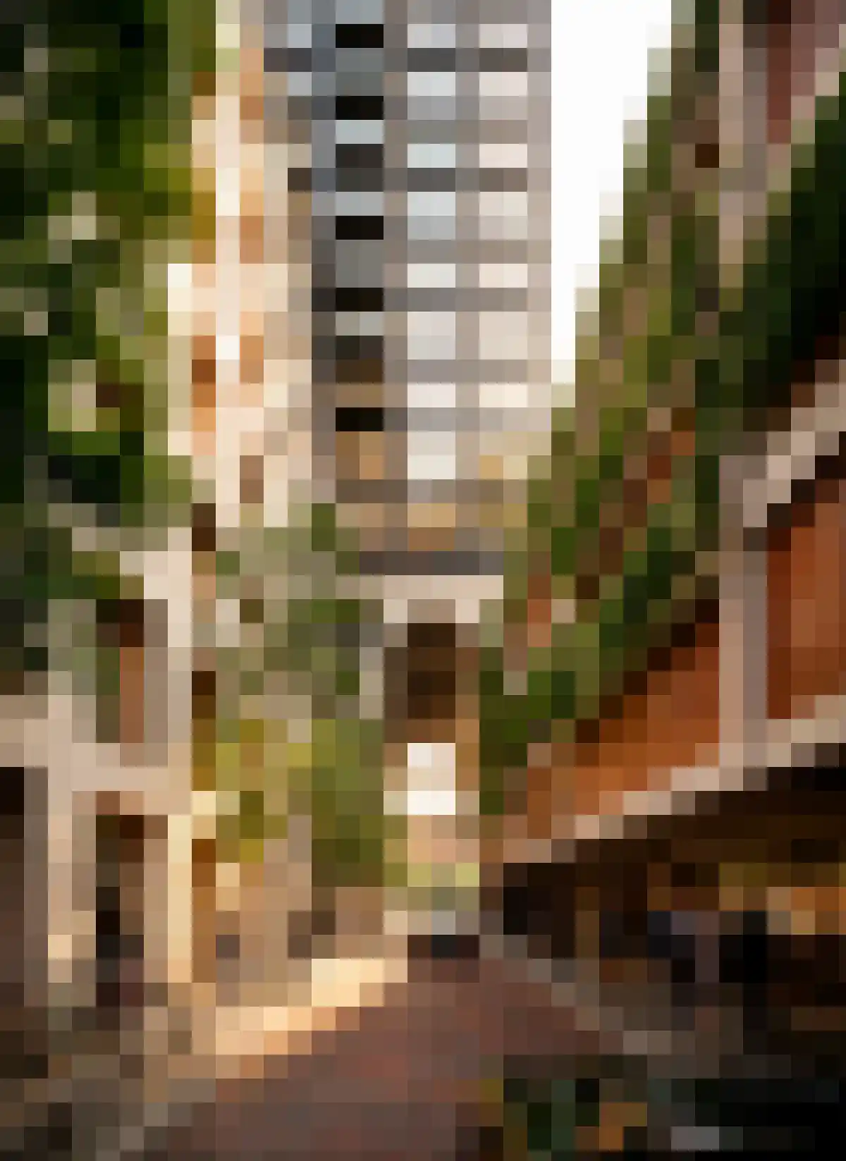 Baan 11 Rotterdam thumbnail 4