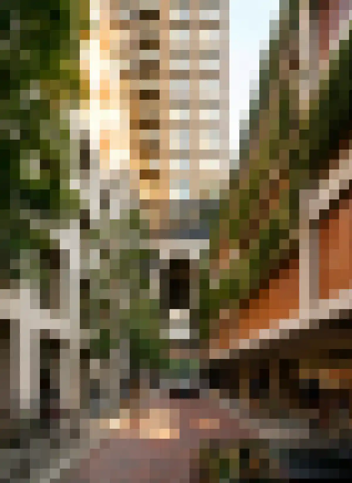 Baan 15 Rotterdam thumbnail 4
