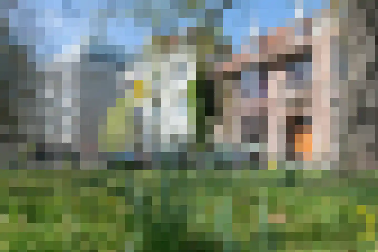 Baan 17 Haarlem thumbnail 10