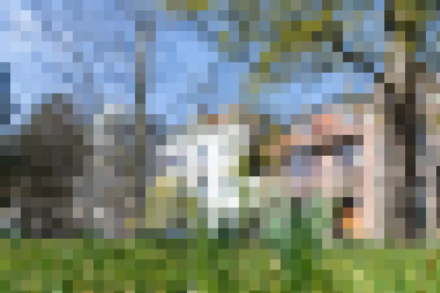 Baan 17 Haarlem thumbnail 12