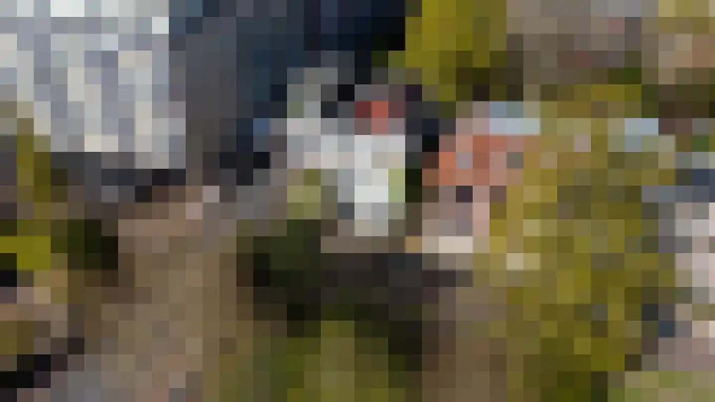 Baan 17 Haarlem thumbnail 6